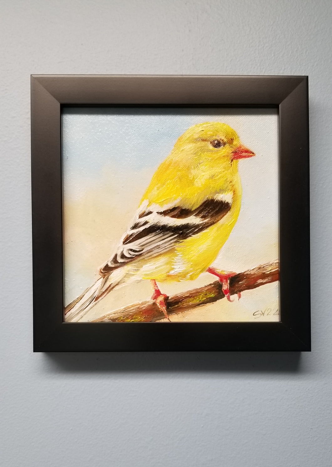 Goldfinch. Original oil painting Backyard bird art. 6×6. Canvas board.