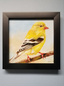 Goldfinch. Original oil painting Backyard bird art. 6×6. Canvas board.